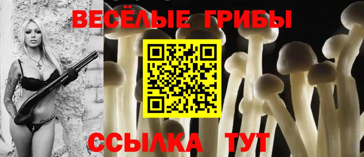 Галлюциногенные грибы Psilocybe  Вход с VPN  Коммунар  Псилоцибиновые грибы мицелий 